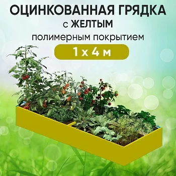 Грядка желтая (1 х 4)